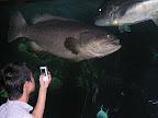DSCN8210.JPG