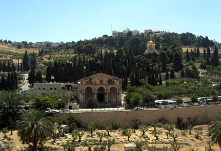 Jerusalen Israel Turismo Viajar a Monte los Olivos