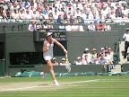  croquet court