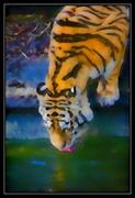 galeria de fotos fotosketcher imagem 05