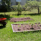 Garden Work July 2009