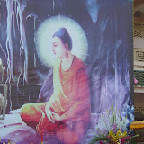 DSC09185.JPG