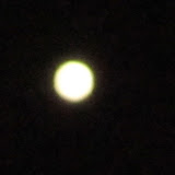 IMG_2464.JPG