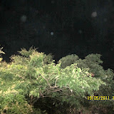 IMG_2466.JPG