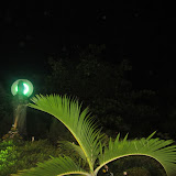 IMG_2547.JPG
