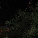 IMG_2556.JPG