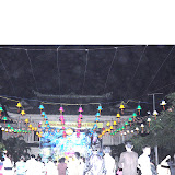 DSC_0345.JPG