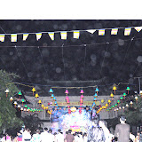 DSC_0346.JPG