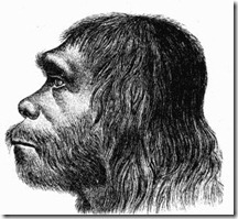 Neanderthal1