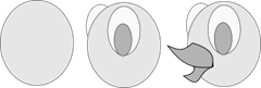 d3 d3
