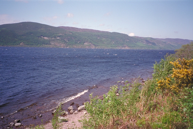 IMG0028.jpg
