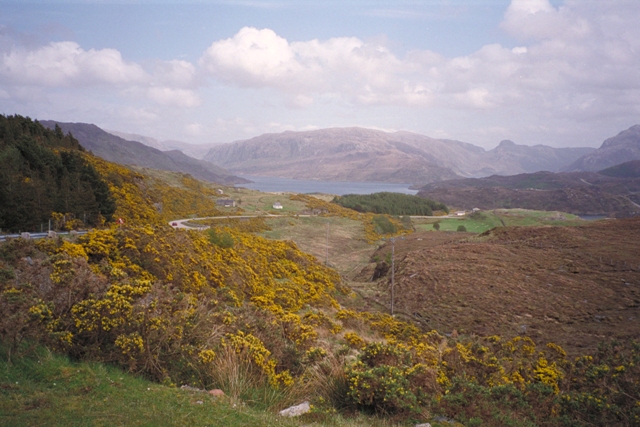 IMG0021.jpg