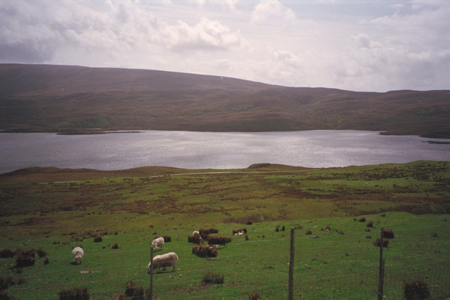 IMG0016.jpg
