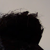 100_1237.JPG