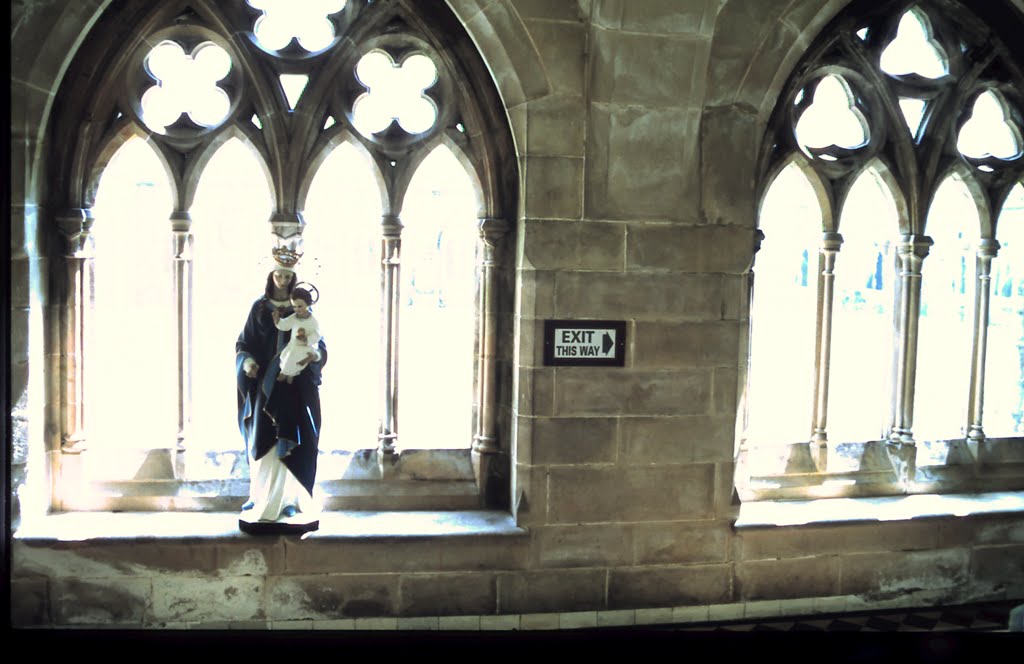 1-27-2010_073.jpg