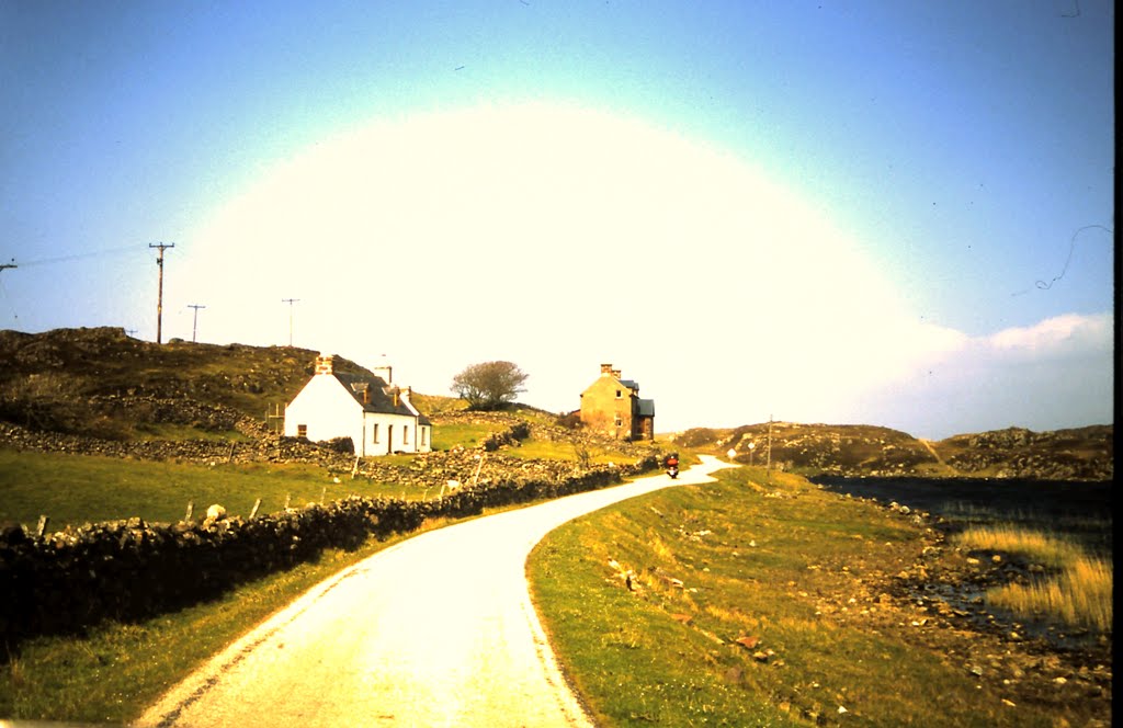 1-27-2010_078.jpg