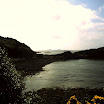 1-27-2010_081.jpg