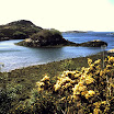 1-27-2010_082.jpg