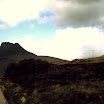 1-27-2010_084.jpg