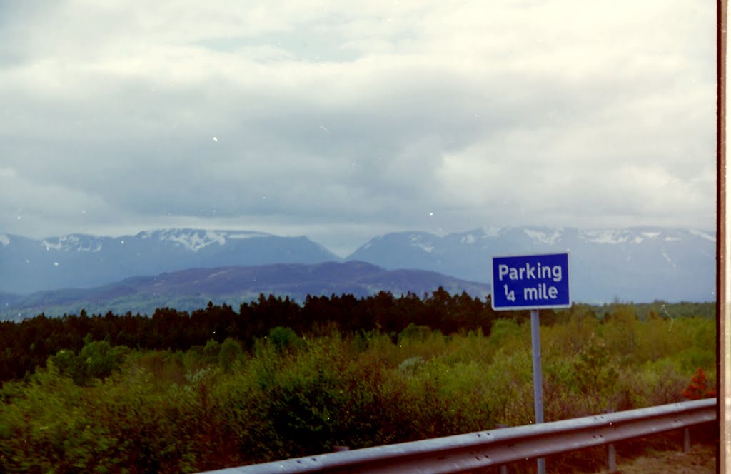2-26-2010_022.jpg