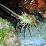 07-24-10 - Northwest Point, Lonestar