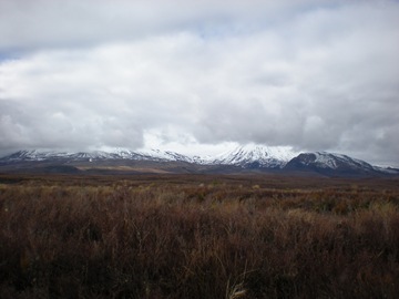 [DSCN08405.jpg]