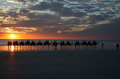 Camel Ride Cable Beach Broome Western Australia