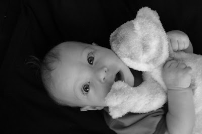 My Little Boy - Photo by Erica Mueller