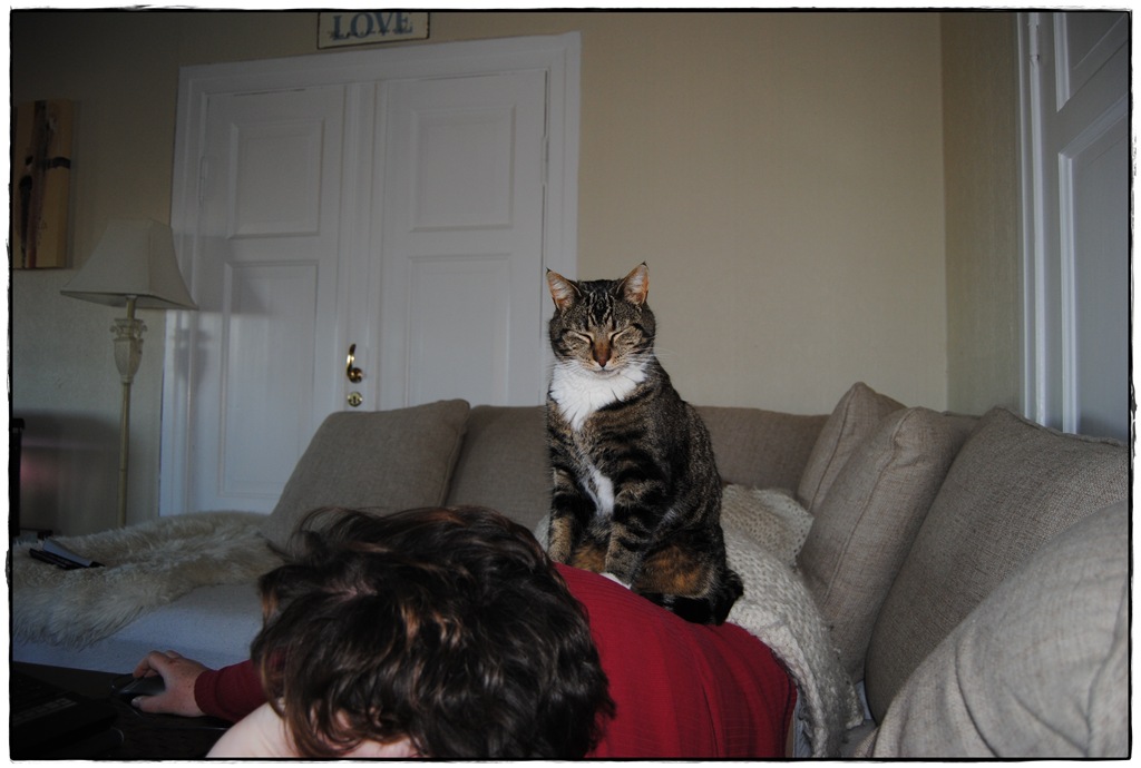 [DSC_0392[4].jpg]
