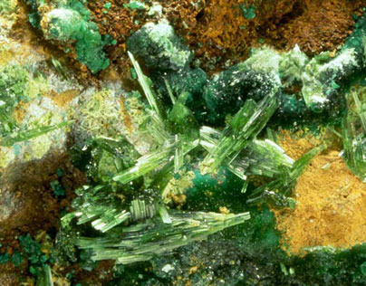 Olivenita y Parnauita-Olivenite & Parnauite