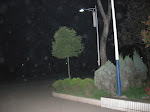 DSCN3332.JPG