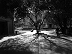 L1050028.JPG