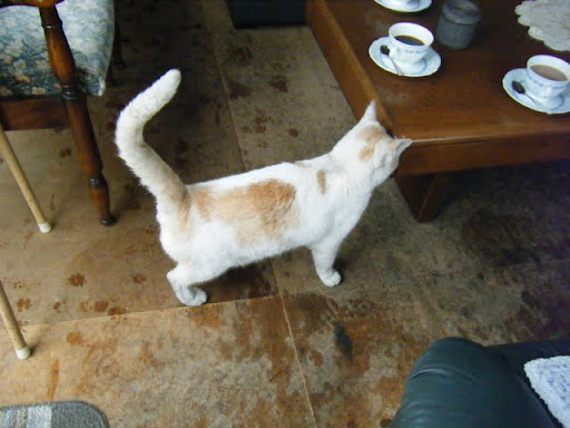 http://lh3.ggpht.com/_ogqP-NvBGAQ/TM1Bir77YEI/AAAAAAAAAqk/6krqcHNYrWU/DSCF8207.JPG