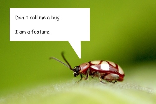 [bug[8].jpg]