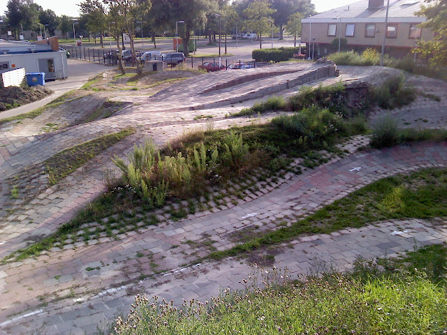 P020810_19.29.jpg