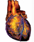 Cardiology Lectures video 01a