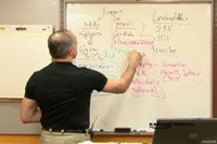 Cardiology Lectures video 01b