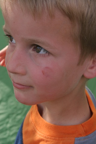 [IMG_66773.jpg]