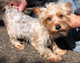 chibita_denzou070922m01_01a.jpg