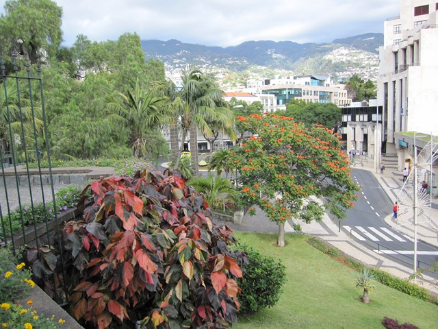 [IMG_06672.jpg]