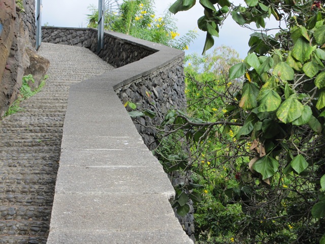 [IMG_06632.jpg]