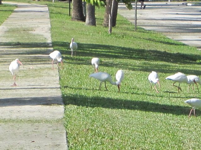 [IMG_08832.jpg]