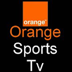 Foot – CAN 2010 : la 1/2 finale Algérie-Egypte en clair sur Orange Sport