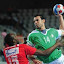 L’équipe nationale de handball chaleureusement accueillie à son arrivée Alger
