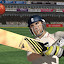 Ashes Cricket 2009, démo jouable pour PC et Xbox 360