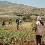 Les associations de développement rural mettent la femme au premier plan