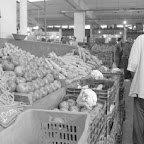 Flambée des prix : Bouteflika implique les imams