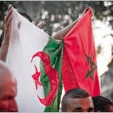 �gypte Alg�rie Les Marocains ont choisi leur camp : les Verts 