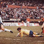 Pays-Bas: Un titre pour oublier 1974 et 1978