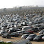 L’industrie automobile en route